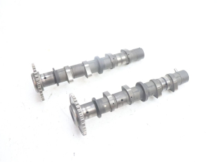 ARBRE A CAMES