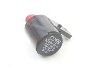 CENTRALE CLIGNOTANTE