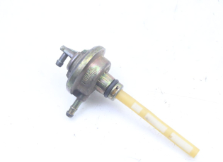 DEPRESSION RESERVOIR