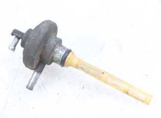 DEPRESSION RESERVOIR