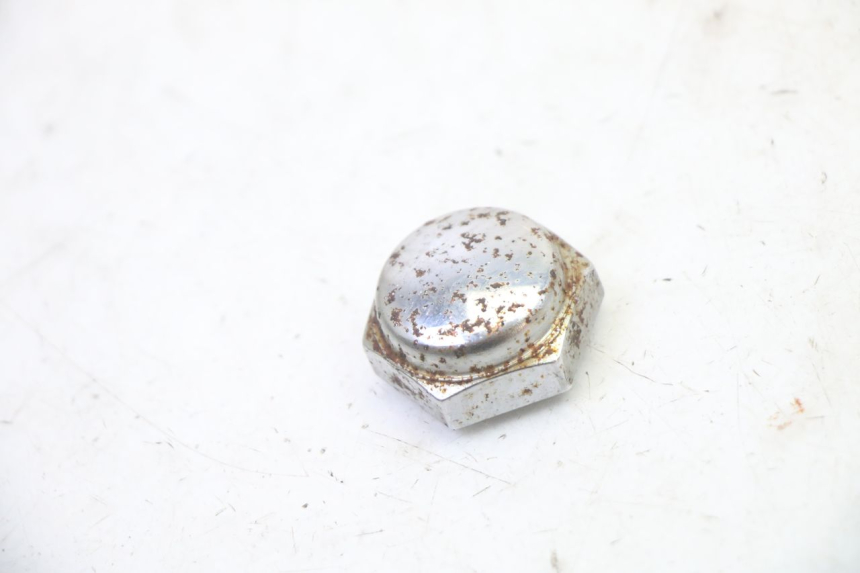 photo de FORK CROWN NUT TRIUMPH SPRINT 900 (1995 - 1998) - Main view