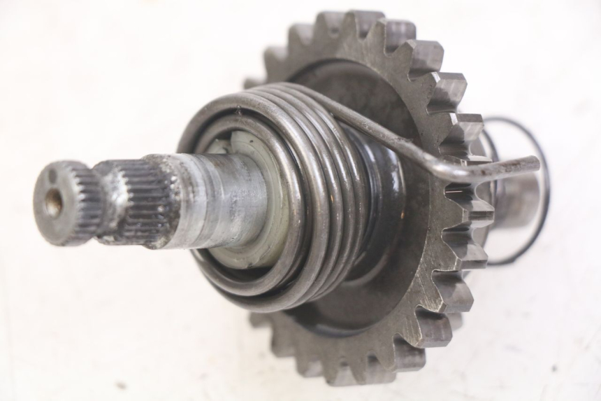 photo de KICK SHAFT HONDA CR 80 (2001 - 2003) - Main view