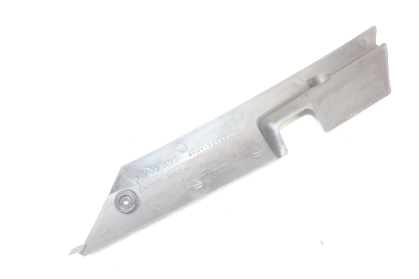 photo de REAR RIGHT BELLY PANEL MASH LEGEND'R 4T 50 (2021 - 2025) - Surface and material condition