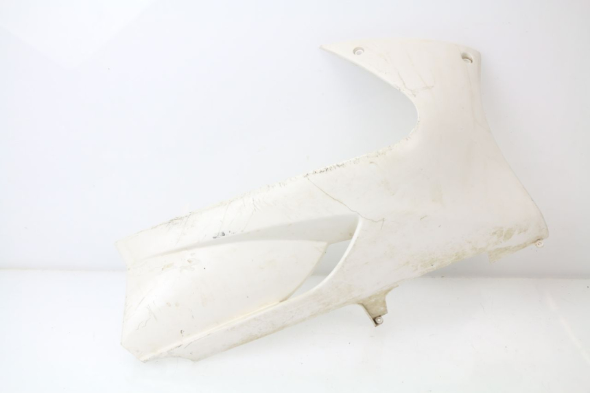 photo de RIGHT BELLY PANEL PEUGEOT JET FORCE CARBU 50 (2003 - 2016) - Main view