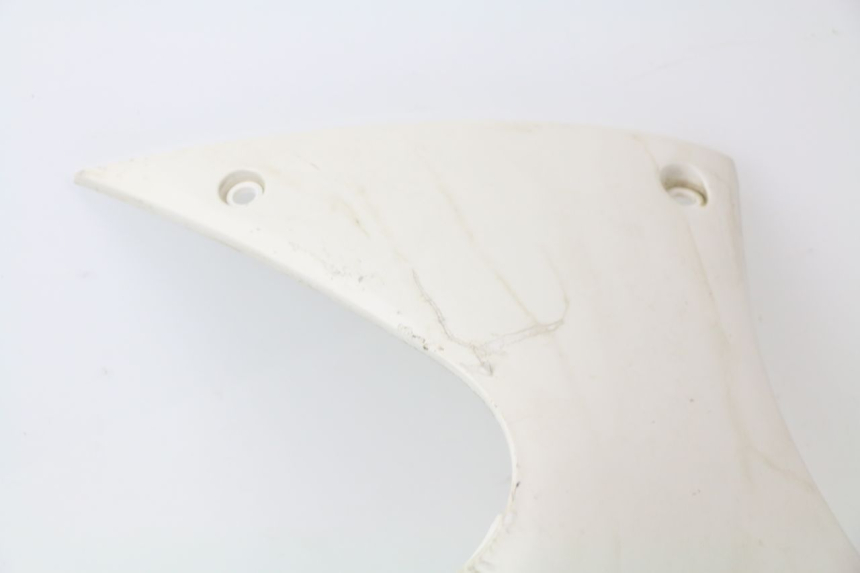 photo de RIGHT BELLY PANEL PEUGEOT JET FORCE CARBU 50 (2003 - 2016) - Distinctive features