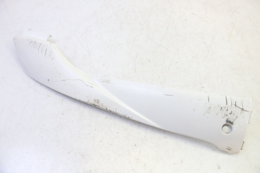 photo de RIGHT BELLY PANEL PEUGEOT TWEET PRO EFI 4T 50 (2021 - 2022) - Main view