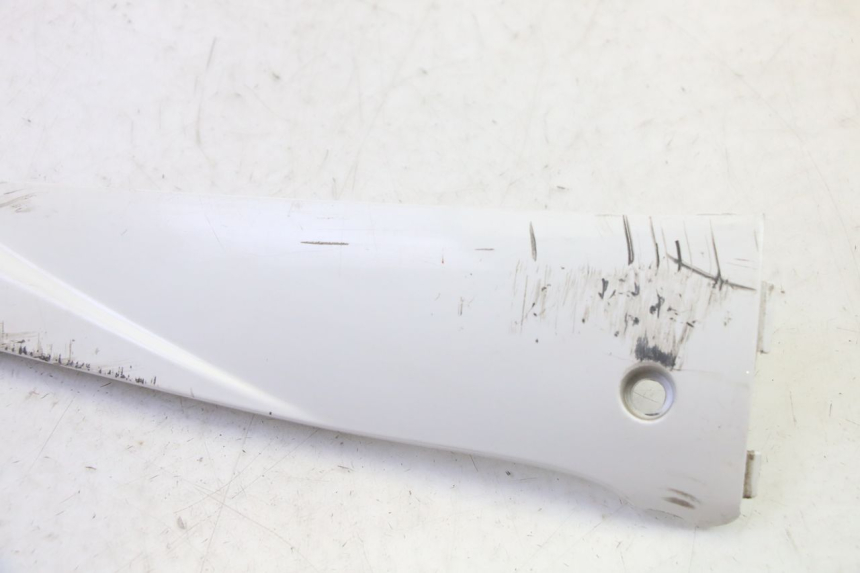 photo de RIGHT BELLY PANEL PEUGEOT TWEET PRO EFI 4T 50 (2021 - 2022) - Zoom on usage condition