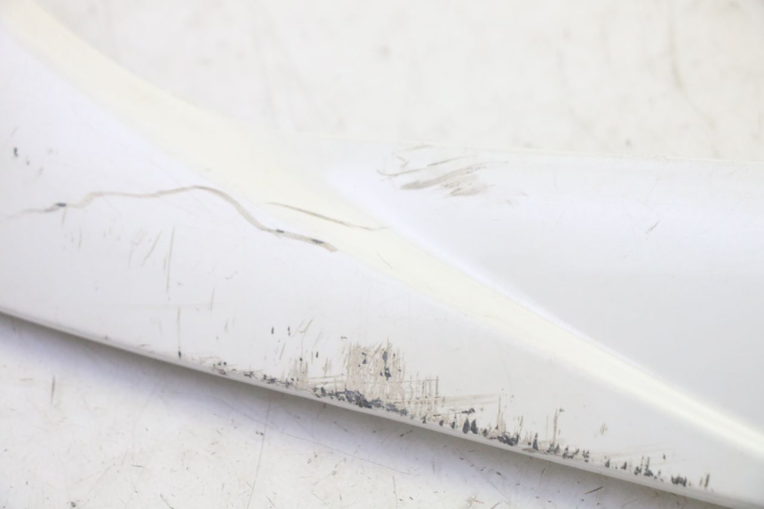 photo de RIGHT BELLY PANEL PEUGEOT TWEET PRO EFI 4T 50 (2021 - 2022) - Product overview