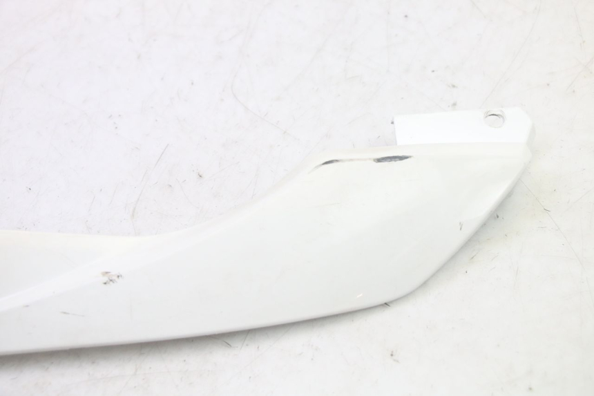 photo de LEFT BELLY PANEL PEUGEOT TWEET PRO EFI 4T 50 (2021 - 2022) - Zoom on usage condition