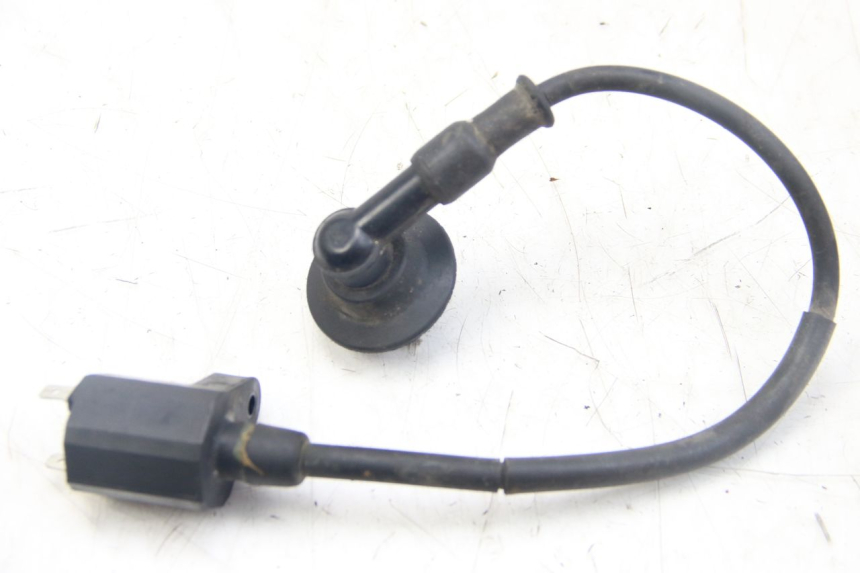 photo de COIL PGO BIG MAX 50 (2001 - 2009) - Main view