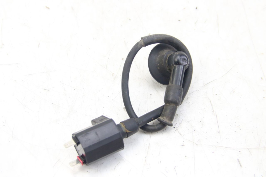 photo de COIL PGO BIG MAX 50 (2001 - 2009) - Component detail