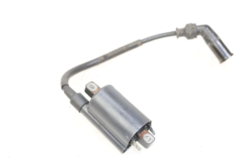 photo de COIL SUZUKI BURGMAN 125 (2007 - 2014) - Alternative perspective