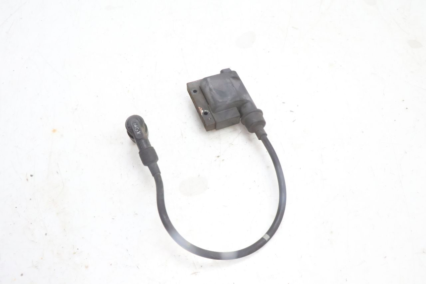 photo de COIL PEUGEOT CITYSTAR 125 (2011 - 2017) - Technical close-up