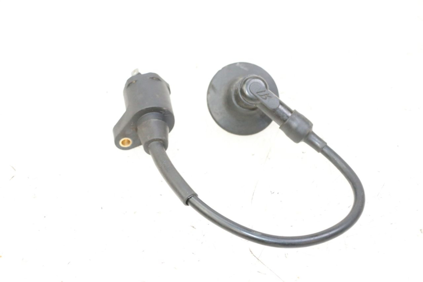 photo de COIL PEUGEOT CITYSTAR 50 (2013 - 2017) - Zoom on usage condition