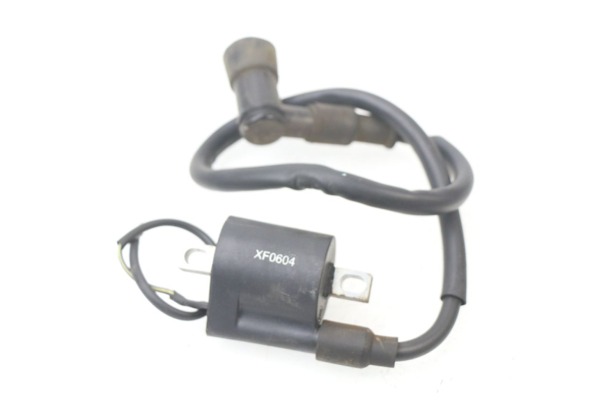 photo de IGNITION COIL CHINESE QUAD DIAMOND R 250 (2005 - 2010) - Component detail