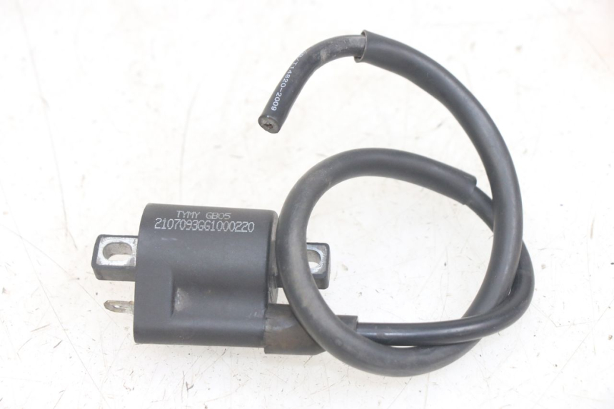 photo de COIL JM MOTORS EVOLIS 4T 50 (2018 - 2022) - Alternative perspective