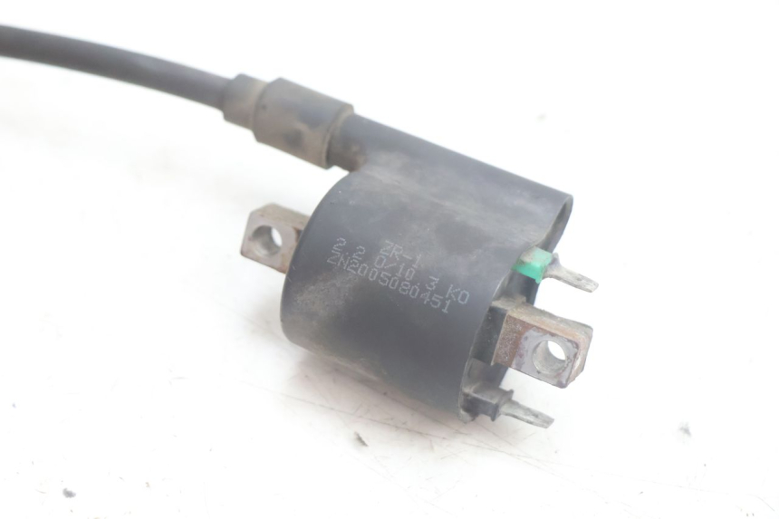 photo de COIL JM MOTORS EVOLIS 4T 50 (2018 - 2022) - Alternative perspective