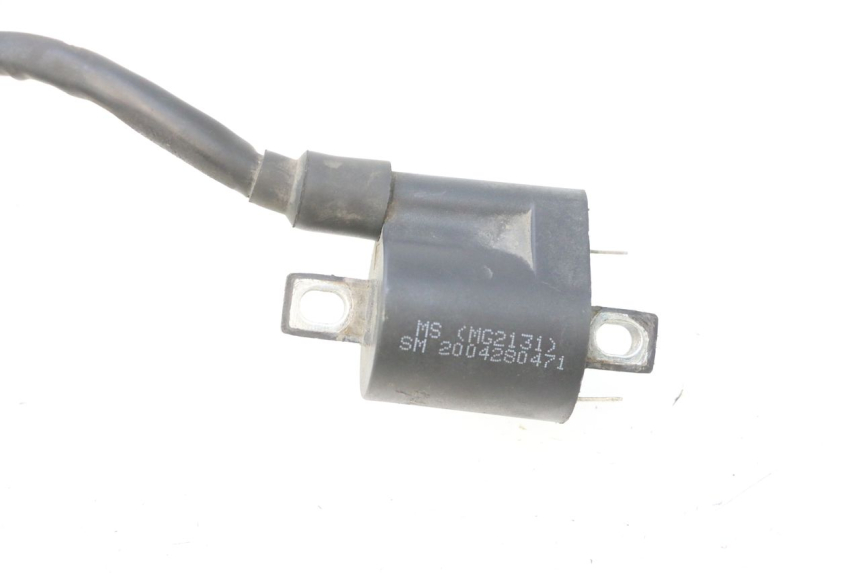 photo de COIL JM MOTORS F45i 4T 50 (2020 - 2023) - Product overview