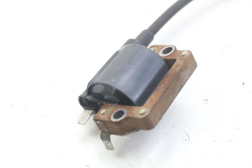 photo de COIL HONDA FES PANTHEON 2T 125 (1998 - 2002) - Alternative perspective