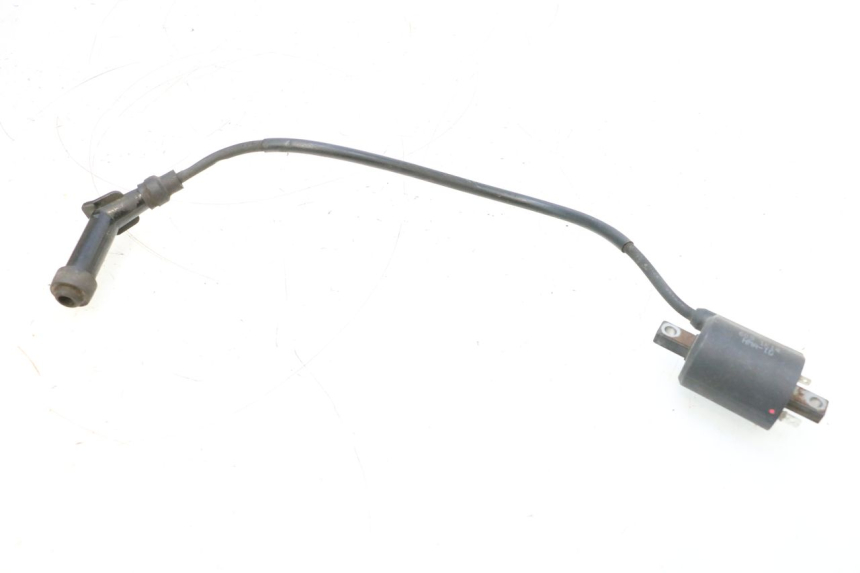 photo de IGNITION COIL SYM GTS EVO 125 (2009 - 2013) - Alternative perspective