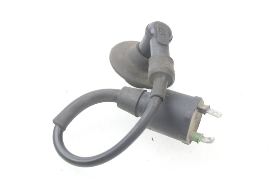 photo de COIL PEUGEOT KISBEE 2T 50 (2010 - 2017) - Zoom on usage condition