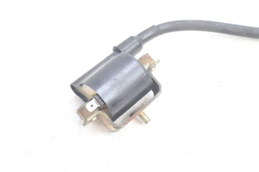 photo de COIL PEUGEOT KISBEE 4T 50 (2018 - 2022) - Zoom on usage condition