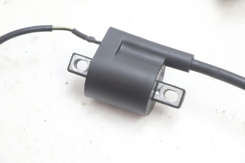 photo de IGNITION COIL IMF INDUSTRIE NEW PACH 2T 50 (2014 - 2020) - Zoom on usage condition