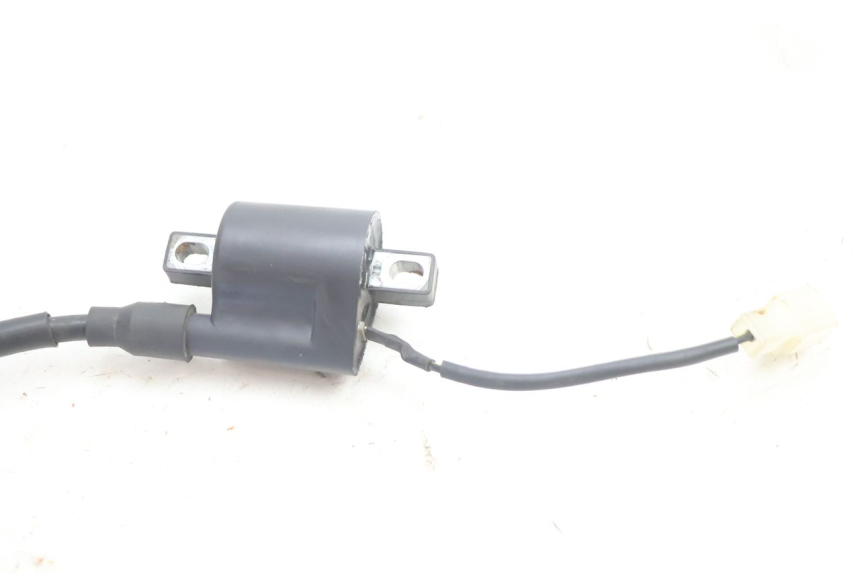 photo de COIL IMF INDUSTRIE PACH 2T 50 (2009 - 2013) - Product overview
