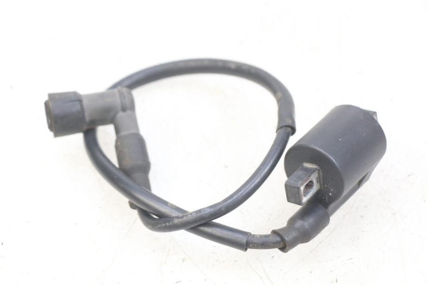 photo de COIL YAMASAKI RAPTOR 50 (2013 - 2018) - Main view