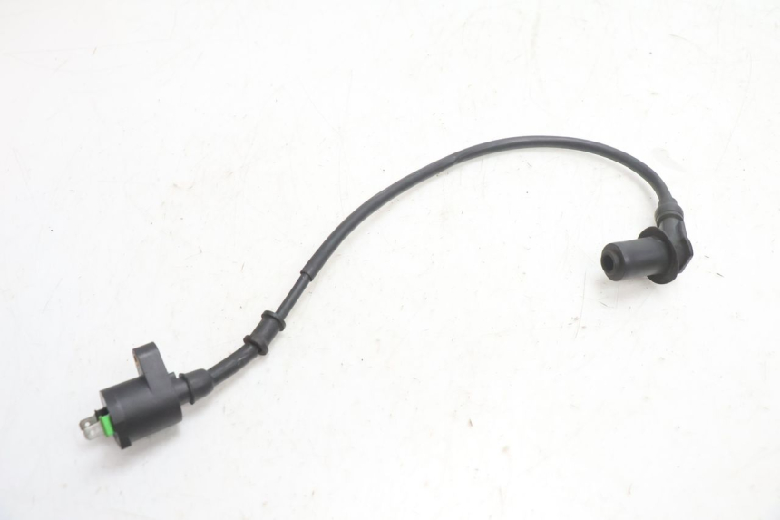 photo de IGNITION COIL TNT MOTOR ROMA 10' 4T 50 (2007 - 2018) - Main view