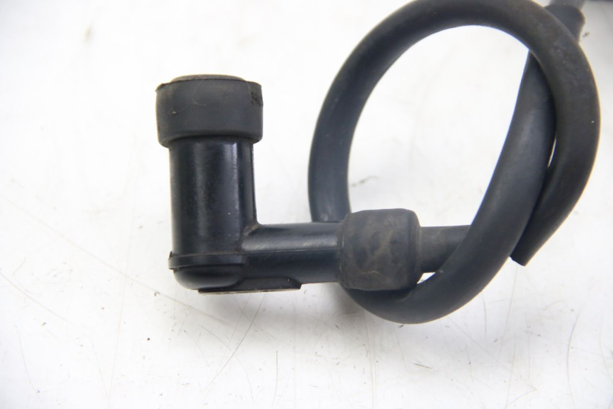 photo de COIL TNT MOTOR ROMA 12' 2T 50 (2007 - 2018) - Alternative perspective