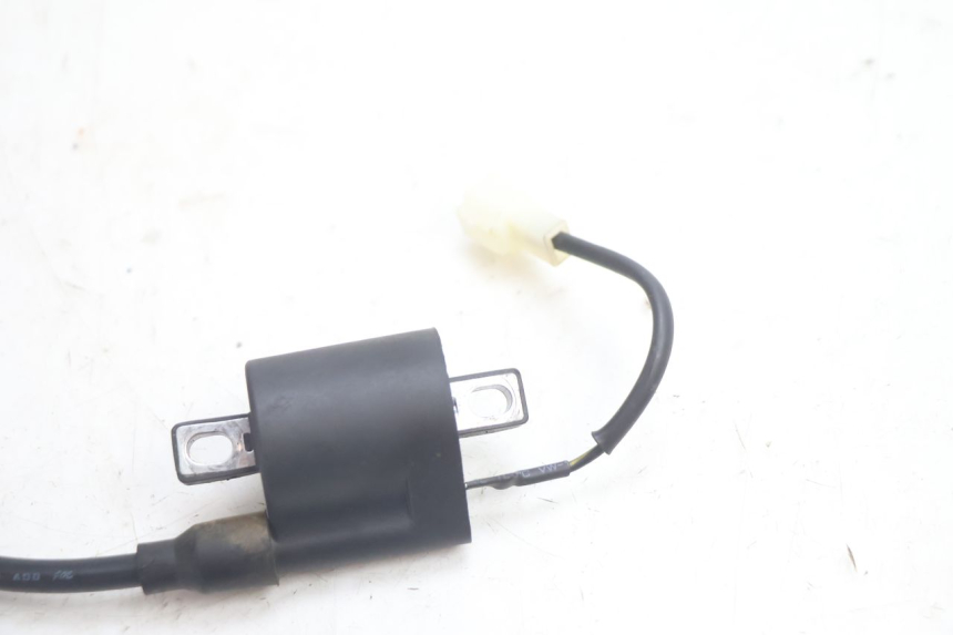 photo de COIL TNT MOTOR ROMA 12' 2T 50 (2007 - 2018) - Product overview
