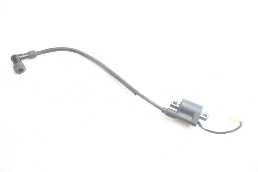 photo de COIL TNT MOTOR ROMA 12' 2T 50 (2007 - 2018) - Product overview