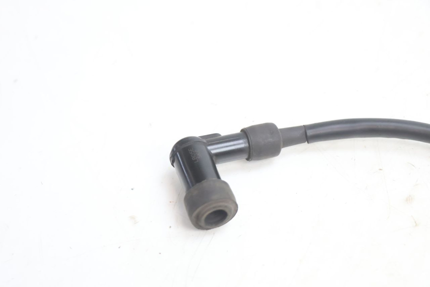 photo de COIL TNT MOTOR ROMA 12' 2T 50 (2007 - 2018) - Fixing points details