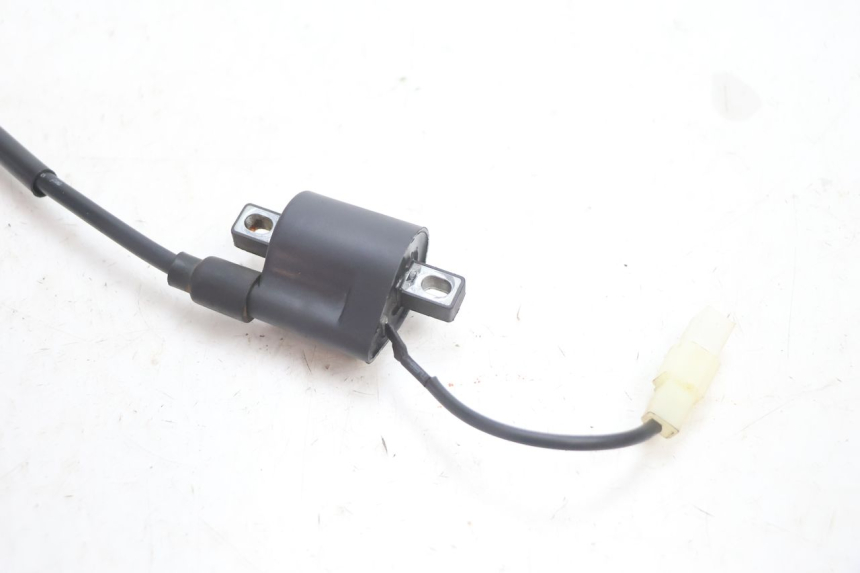 photo de COIL TNT MOTOR ROMA 12' 2T 50 (2007 - 2018) - Surface and material condition