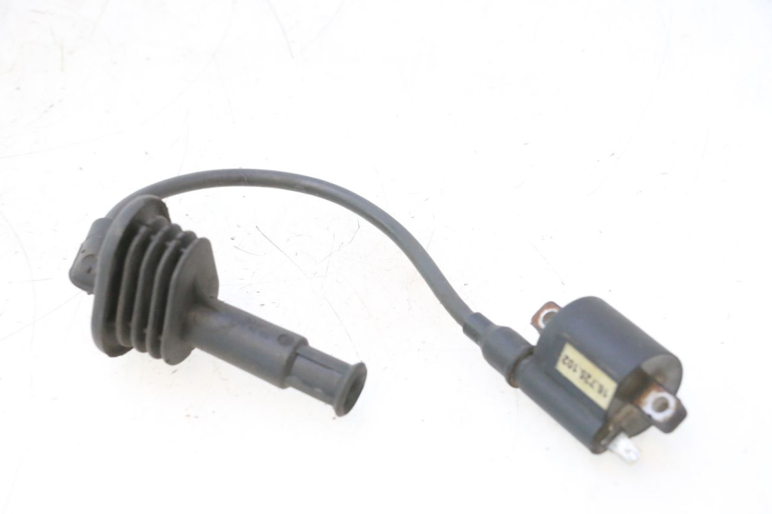 photo de IGNITION COIL MZ RT 125 (2000 - 2008) - Main view