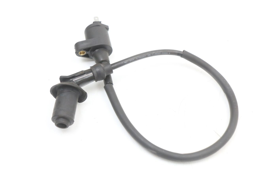 photo de COIL JM MOTORS SANTANA 50 (2014 - 2023) - Main view