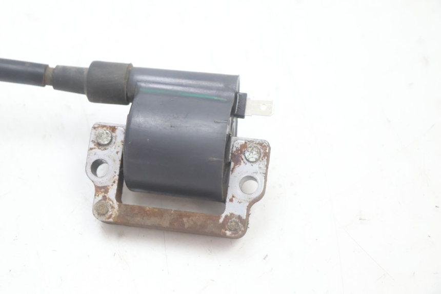 photo de COIL HONDA SCV LEAD 100 (2003 - 2007) - Zoom on usage condition