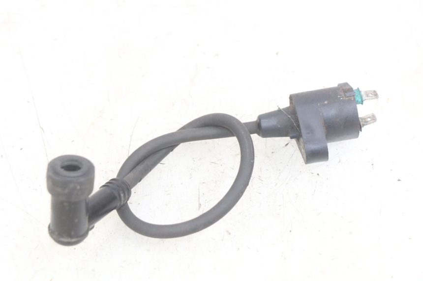 photo de COIL PEUGEOT SPEEDFIGHT LC 50 (1996 - 2002) - Zoom on usage condition