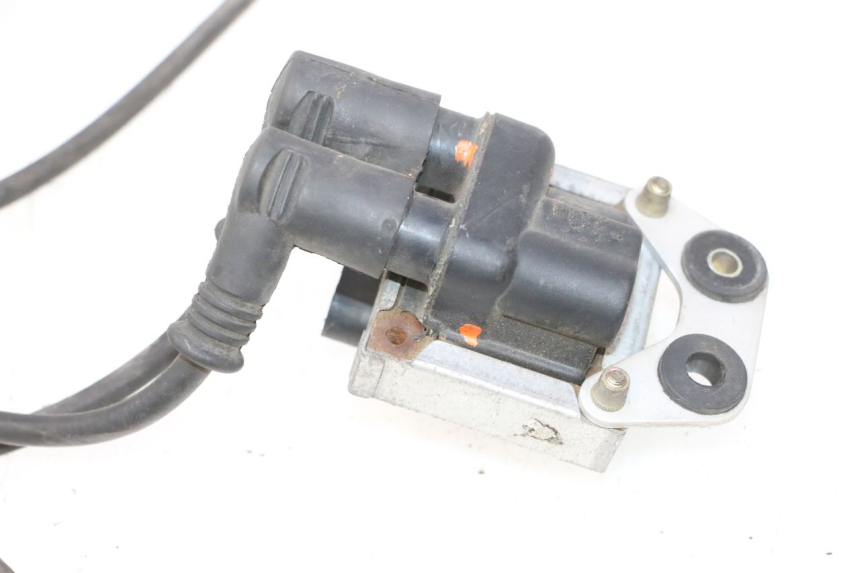 photo de IGNITION COIL DUCATI SS IE DS CARENEE 1000 (2002 - 2006) - Distinctive features