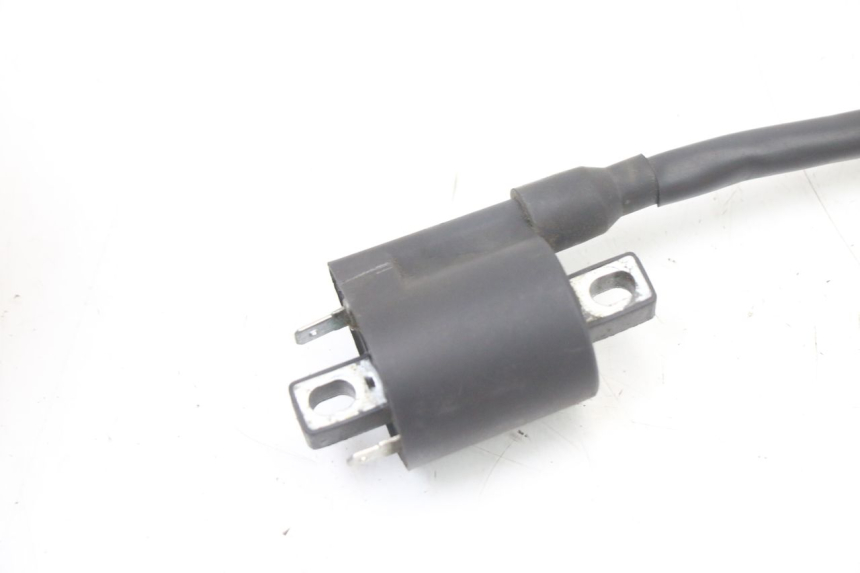 photo de COIL TNT MOTOR ROMA 10' 4T 50 (2019 - 2022) - Technical close-up