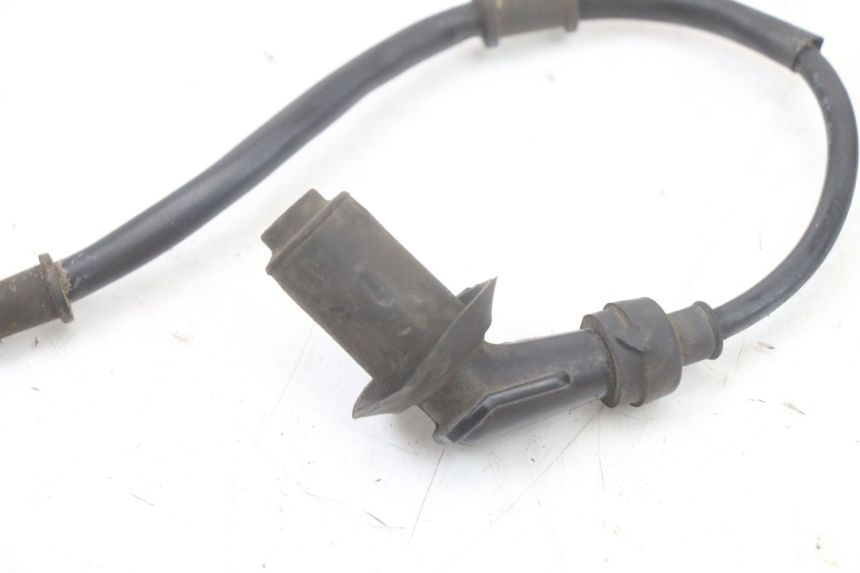 photo de COIL TNT MOTOR ROMA 10' 4T 50 (2019 - 2022) - Product overview