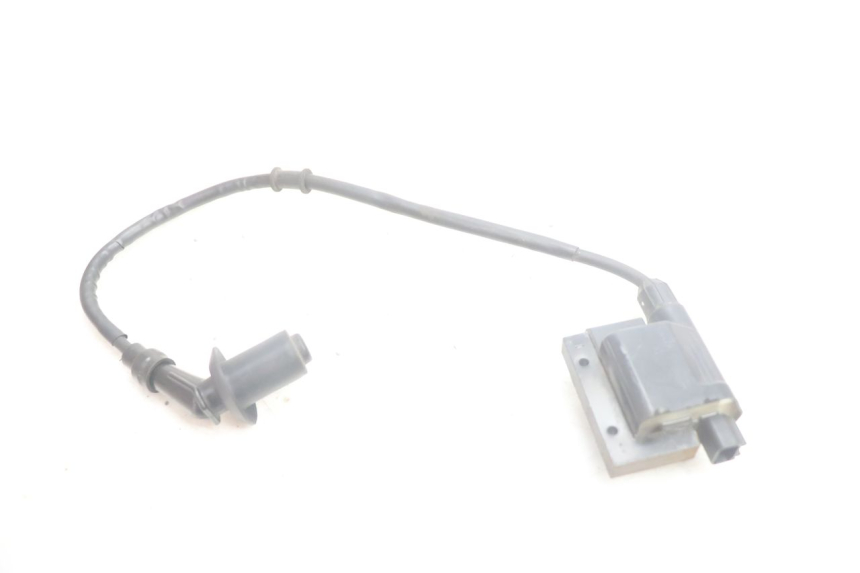 photo de COIL PEUGEOT TWEET 4T 50 (2018 - 2022) - Alternative perspective