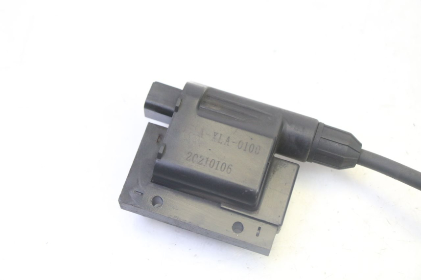 photo de IGNITION COIL PEUGEOT TWEET PRO CARGO 50 (2018 - 2022) - Component detail
