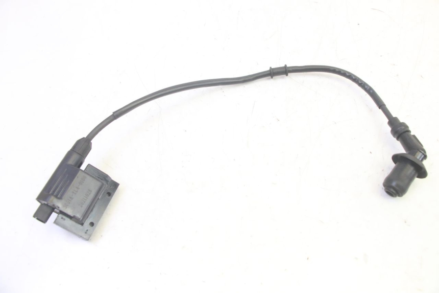 photo de IGNITION COIL PEUGEOT TWEET PRO EFI 4T 50 (2021 - 2022) - Main view