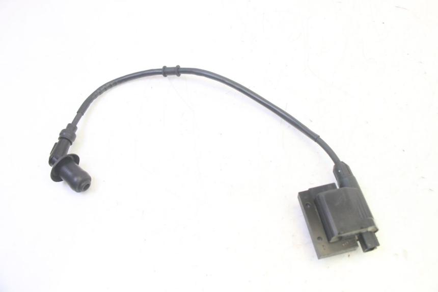 photo de IGNITION COIL PEUGEOT TWEET PRO EFI 4T 50 (2021 - 2022) - Technical close-up