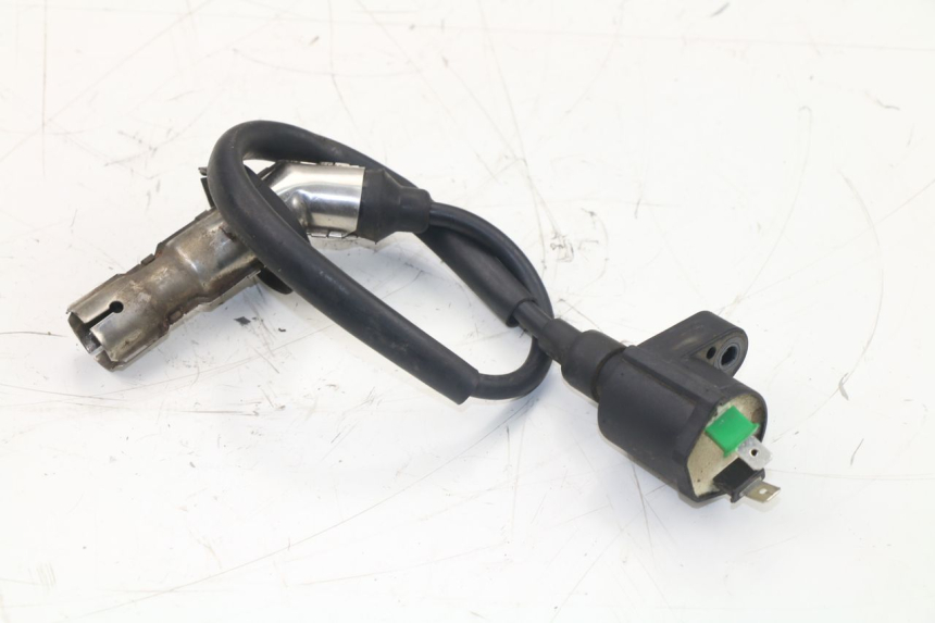 photo de IGNITION COIL ROADSIGN WALLABY 50 (2009 - 2014) - Zoom on usage condition