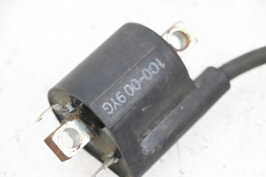 photo de COIL YAMAHA X-MAX XMAX 125 (2010 - 2013) - Zoom on usage condition