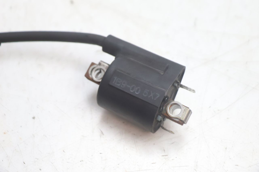 photo de COIL YAMAHA XMAX X-MAX 125 (2006 - 2009) - Zoom on usage condition