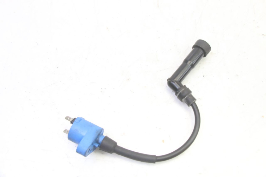 photo de COIL PIAGGIO X9 EVOLUTION 125 (2003 - 2007) - Alternative perspective